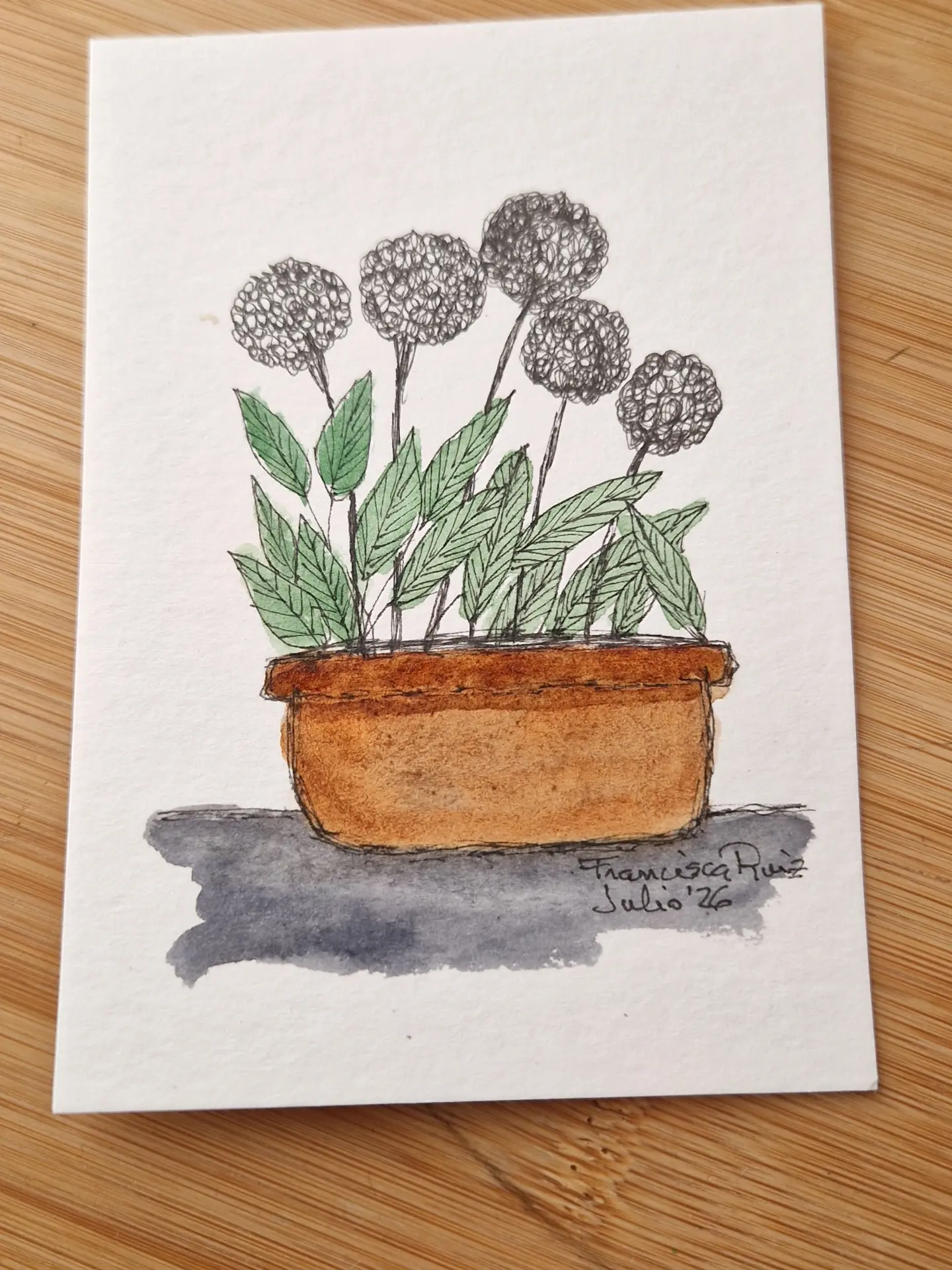 Dibujo vertical de una jardinera terracota con cinco flores redondas en tinta negra y hojas verdes.