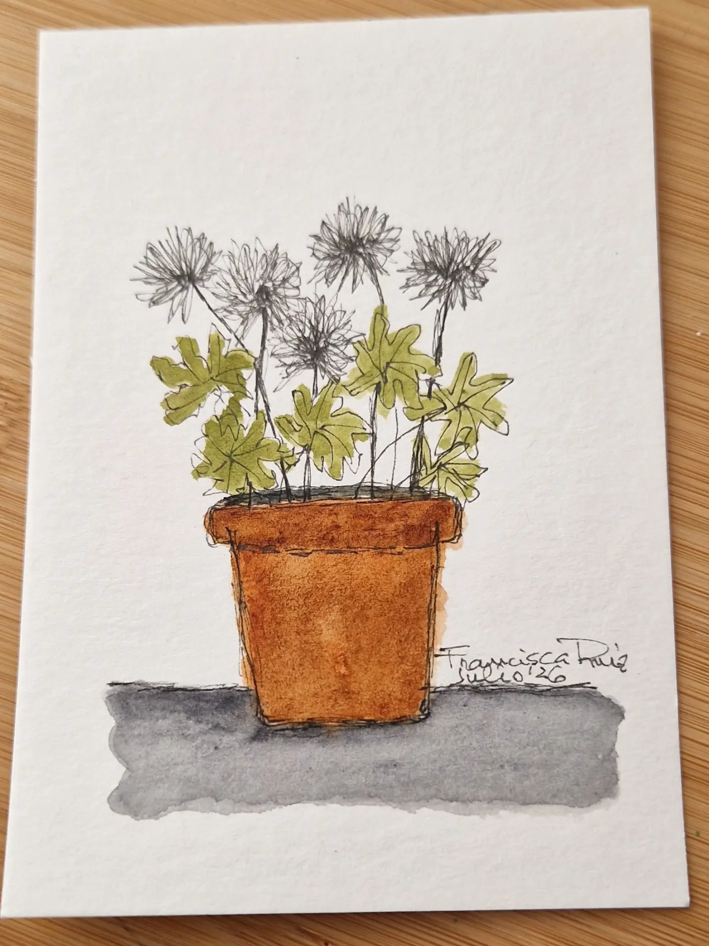Dibujo vertical de una maceta terracota con cinco flores de líneas negras y hojas verde oliva.