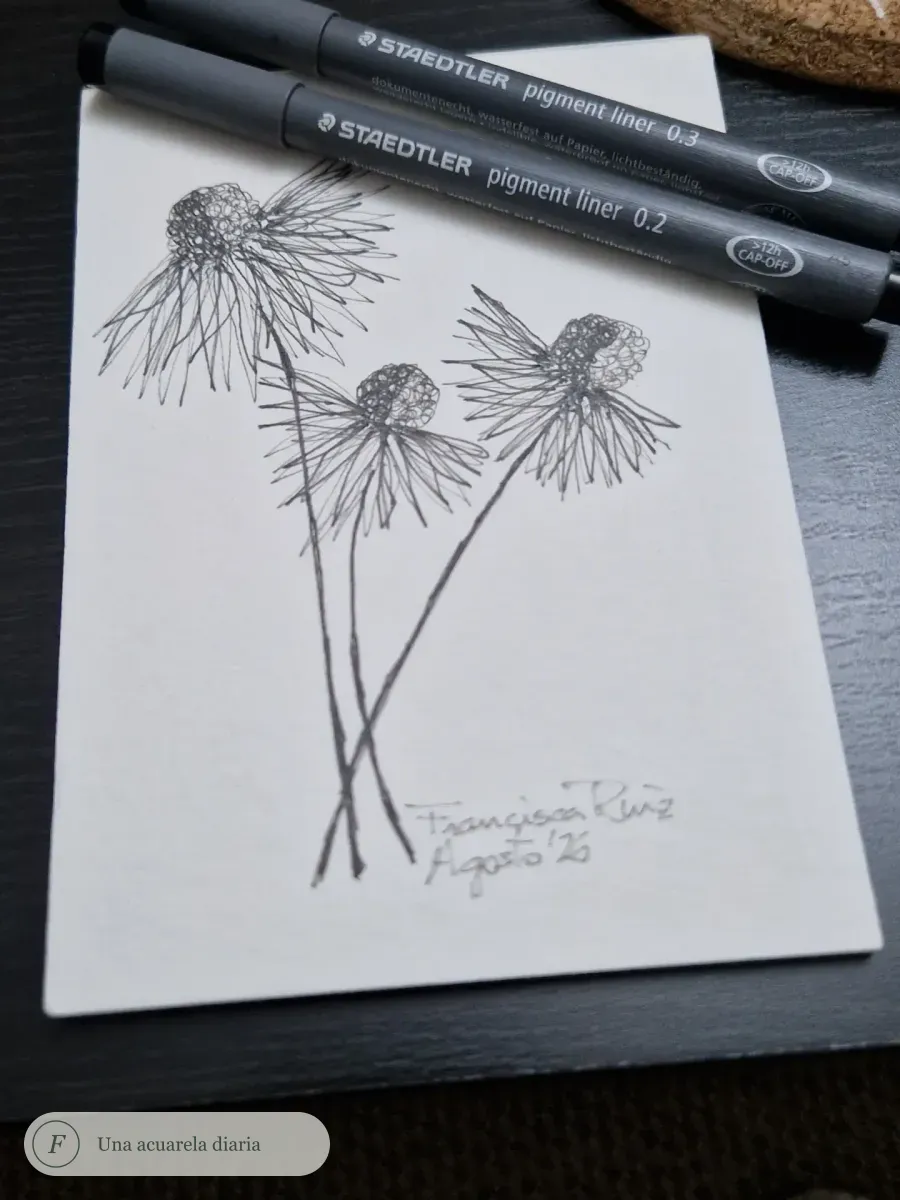 Dibujo vertical de tres equináceas trazadas con rotuladores negros finos sobre papel blanco.