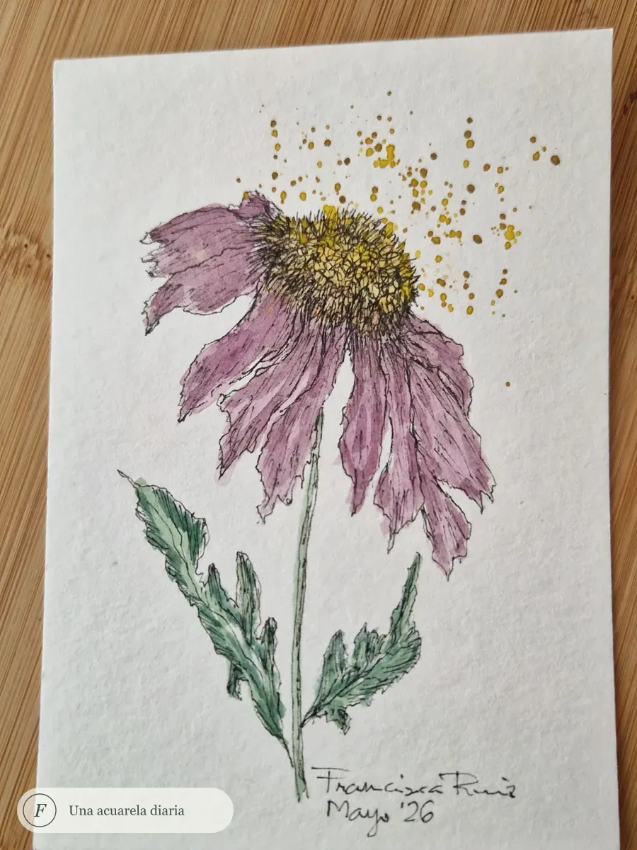 Acuarela vertical de una equinácea rosa de pétalos caídos con hojas verdes y salpicaduras doradas.